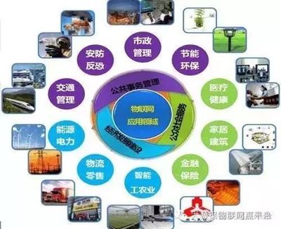 物聯網 國家戰略驅動下的技術革命與產業未來